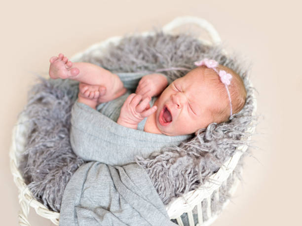 зевающий ребенок, лежащий в корзине - baby animal nest newborn lying down стоковые фото и изображения