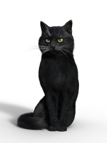 A full body image of a black cat standing on his back feet with his paw out and a shocked expression on his face.