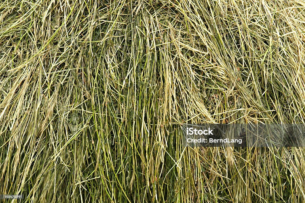 hay - Photo de Agriculture libre de droits