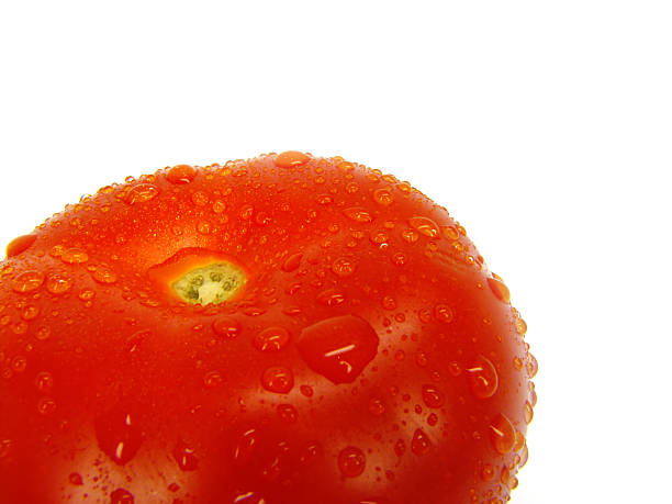 Tomate avec gouttes sur fond blanc. - Photo