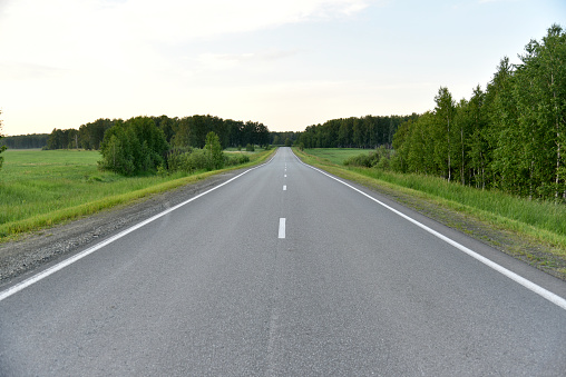 An asphalt road with white markings, visible as a roadside made of dust and sand, and trees and green grass on the field grow nearby.