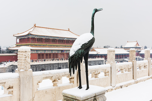 Beijing Forbidden City Crane Sculpture in the Snow