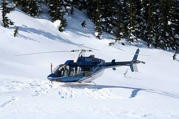 Helikopter z Heli narciarski Landing – zdjęcie