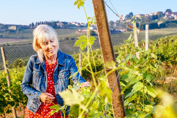 istock Woman, Vineyard, Italy 1404708958