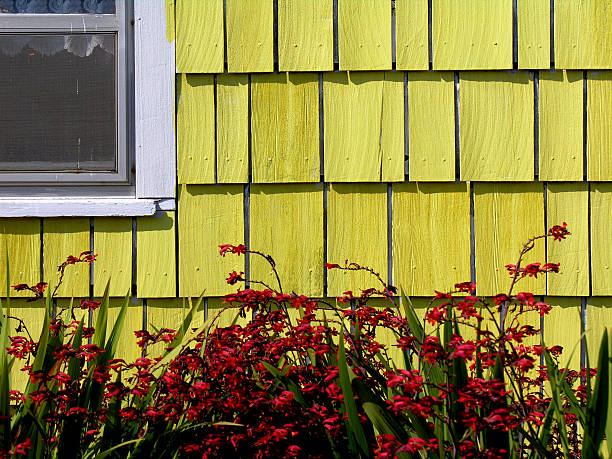 istock Our place in the sun 140471028