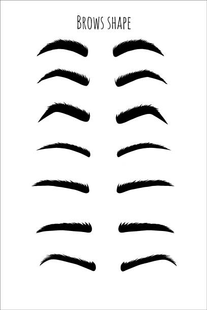 Brows Variations 140+ Different Types Of Eyebrow Shapes Stock Photos, Pictures & Royalty ...