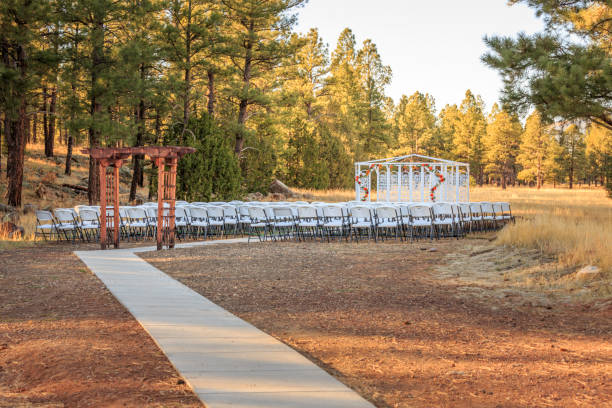 Beautiful setting for an outdoor wedding in Flagstaff Arizona in a high-country meadow.