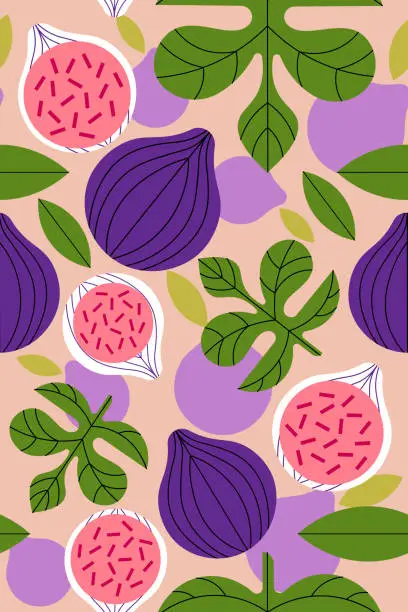 Vector illustration of Colorful pattern of figs