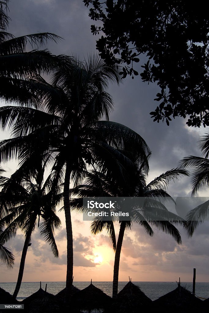 Paradise Beach of Mombasa at sunset Africa Stock Photo