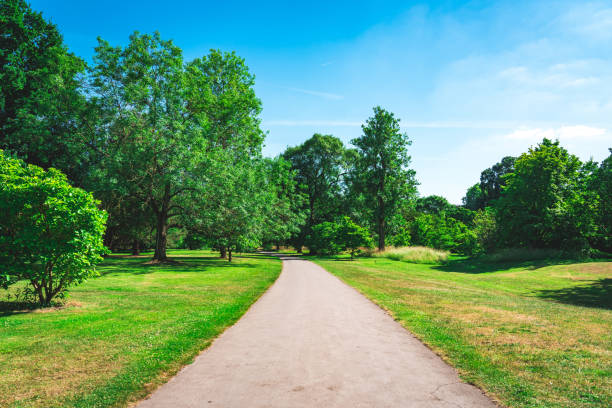 A macadam footpath in a park A macadam footpath in a park kew gardens spring stock pictures, royalty-free photos & images