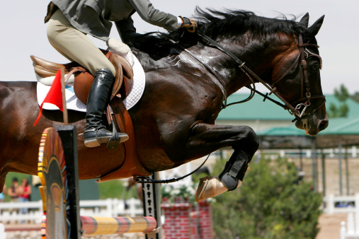 A horse and rider soar over a jump during an equestrian showjumping event (shallow focus) - may also represent crossing life's hurdles, success, achievement, competition, etc.