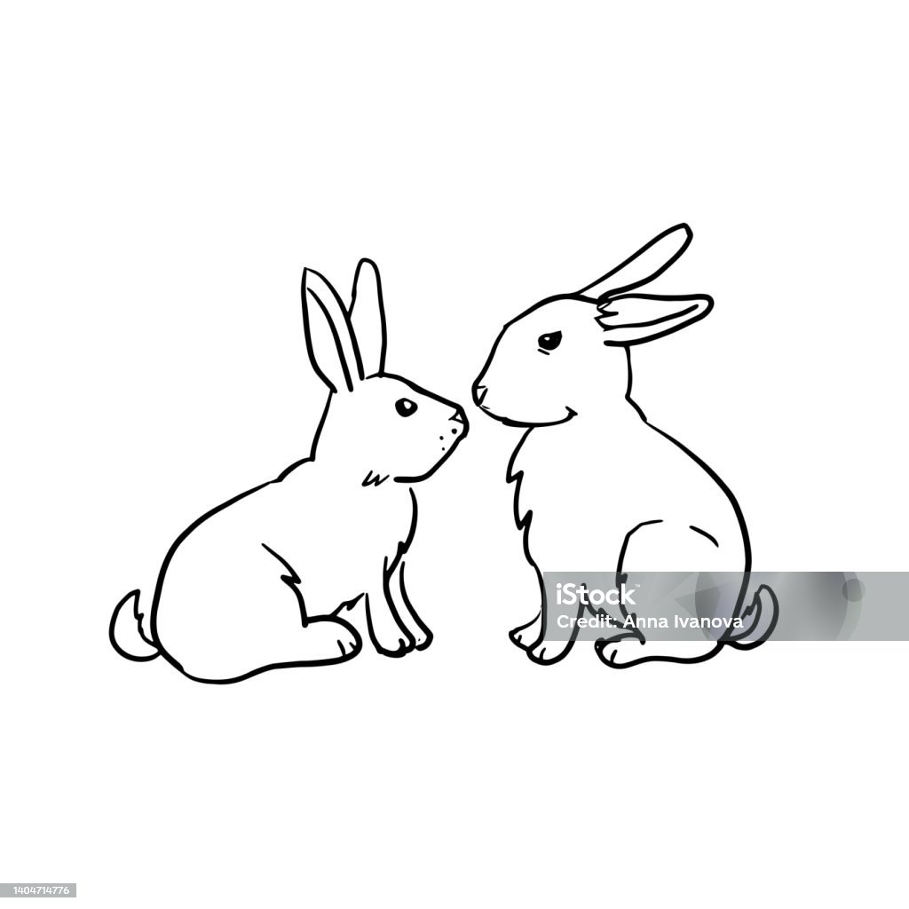 Two Rabbit Drawing Two Rabbits Are Sitting Opposite Each Other Hand Drawn Vector ...