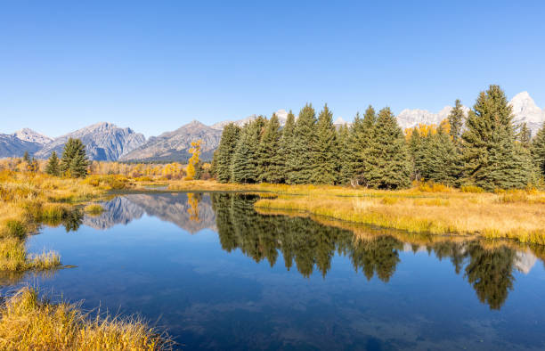 istock Scenic Autumn Reflection in the Tetons 1404715280