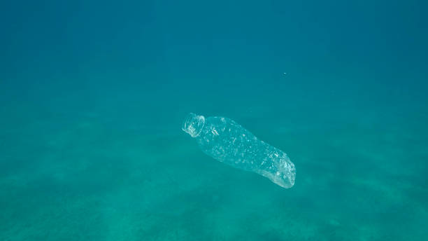 istock Plastic pollution, plastic bottle in blue water. Discarded plastic bottle slowly drifting under surface of blue water in sunlight. Plastic garbage environmental pollution problem in Ocean. Red sea, Egypt 1404715966
