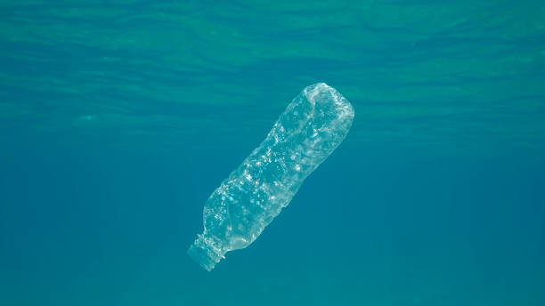 istock Plastic pollution, plastic bottle in blue water. Discarded plastic bottle slowly drifting under surface of blue water in sunlight. Plastic garbage environmental pollution problem in Ocean. Red sea, Egypt 1404715971
