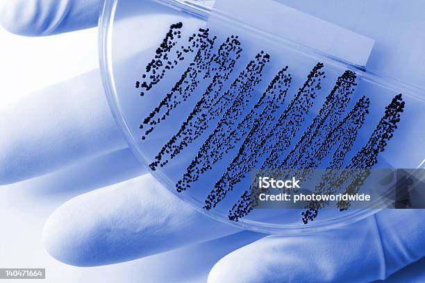 A Plate Showing A Dangerous Microorganism Stock Photo - Download Image Now - Agar Jelly, Antibiotic Resistant, Bacterium