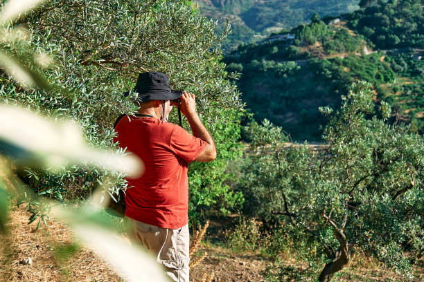 istock Tourist man looking through binoculars at the mountains view. Traveling with backpack or exercising outdoors. Active people, hiking, healthy lifestyle and harmony concept. Unity with nature. 1404716773