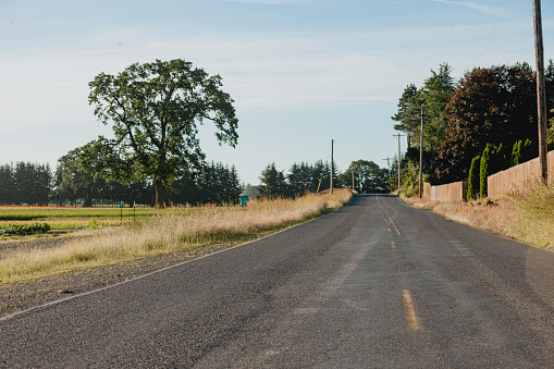 An empty open road with no traffic on it, in a rural scenic area in the Pacific Northwest. Shot in the morning during the summer months in Oregon.