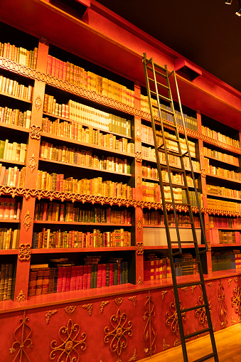 Huge antique bookshelf with many colorful books