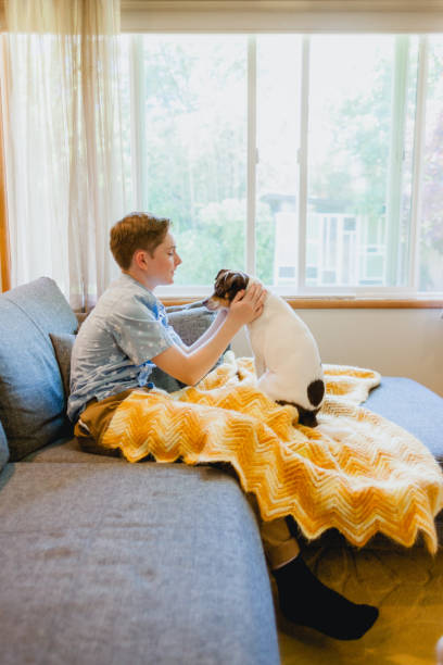 istock Teenage Boy Playing with Dog on Sofa 1404719816