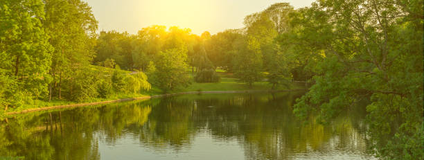 istock Lake sunny landscape, Oslo, Norway 1404719930