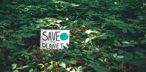 Poster with the inscription save the planet in the forest among plants, the concept of ecology, love for nature.