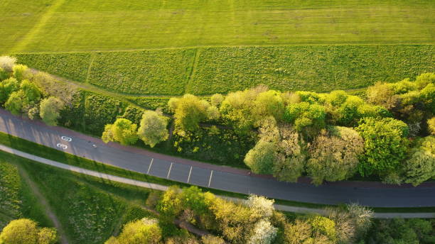 istock Woodland and road under the spring sun 1404723489