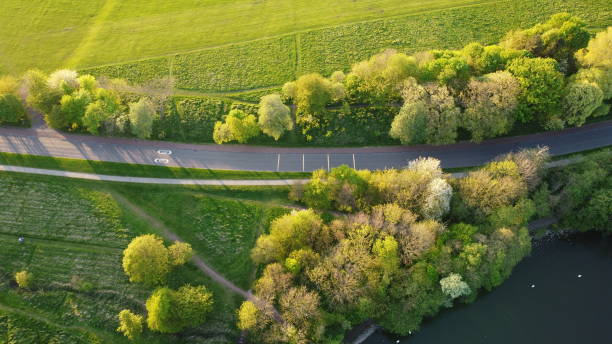 istock Green landscape under the spring sun 1404723499