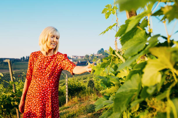 istock Woman, Vineyard, Italy 1404726421