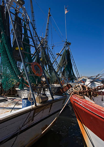 istock Convergence of Shrimp Boats 140472713