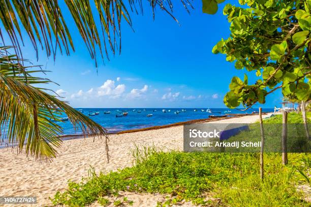 Tropical Mexican Beach With Palm Trees Playa Del Carmen Mexico Stock Photo - Download Image Now