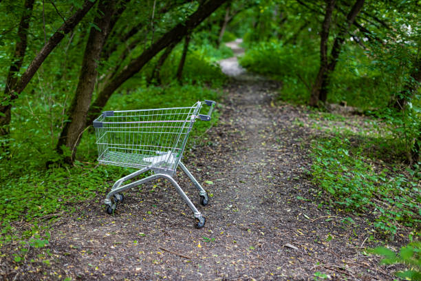 empty grocery cart stands in the park. High quality photo