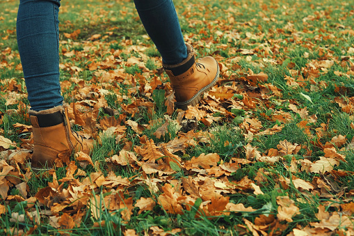 Legs in blue jeans and brown boots, in autumn or winter goes for a walk on dry fallen oak leaves.