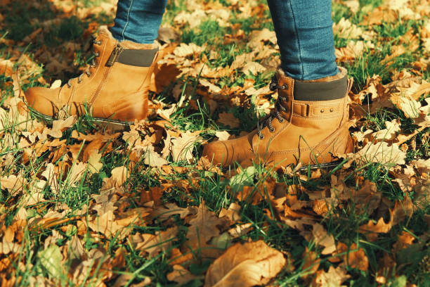 istock Human wearing brown leather boot and walking in fallen oak leaves. 1404727743