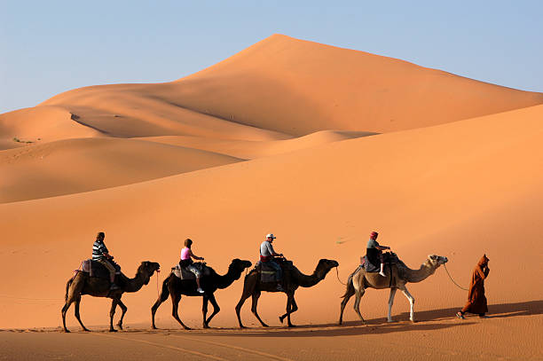 верблюд caravan в сахаре - sahara desert стоковые фото и изображения