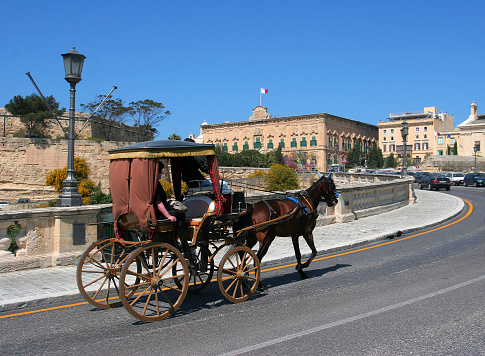 horses with a carriage on the main square of Krakow in Poland