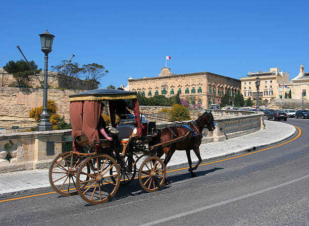 Horse drawn carriage on street stock photo