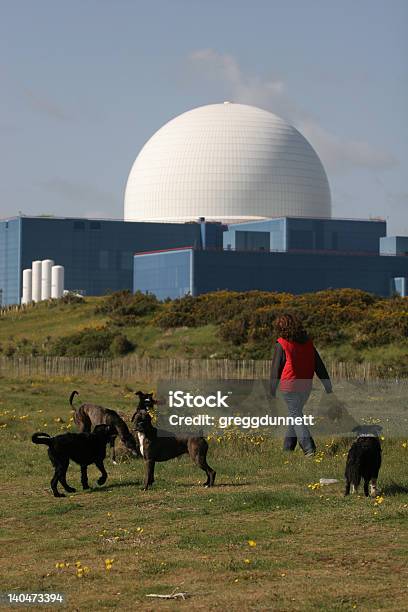Foto de Energia Nuclear e mais fotos de stock de Andar - Andar, Cão, Energia Nuclear