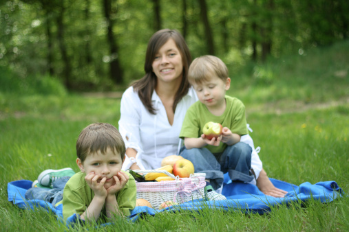 mother and sons relaxing - family picnic in the forest