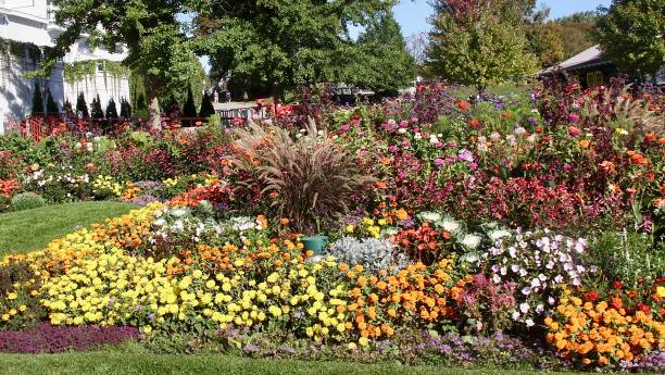 Public garden of flowers alone side the road on Mackinac Island