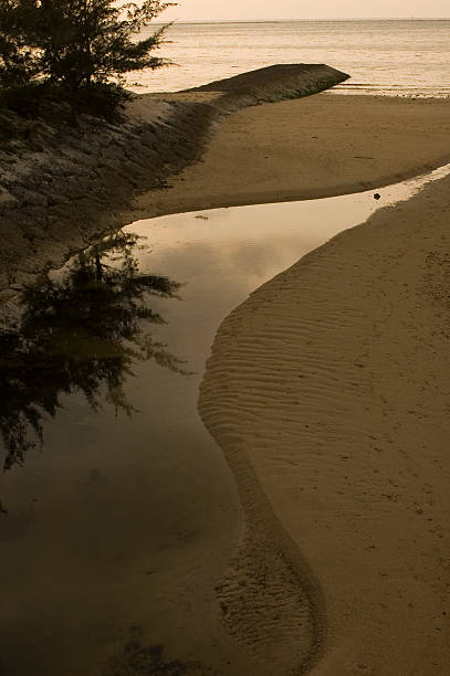 Nature's Kurven – Foto