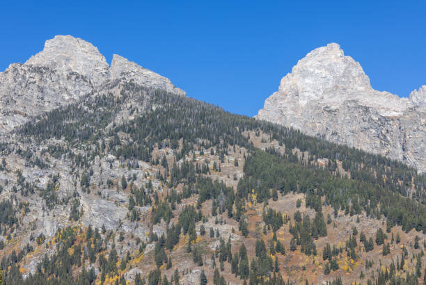 a scenic landscape in Grand Teton National Park Wyoming in autumn