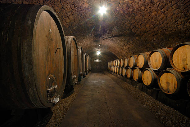 Inside a wine cellar with large wine kegs stock photo