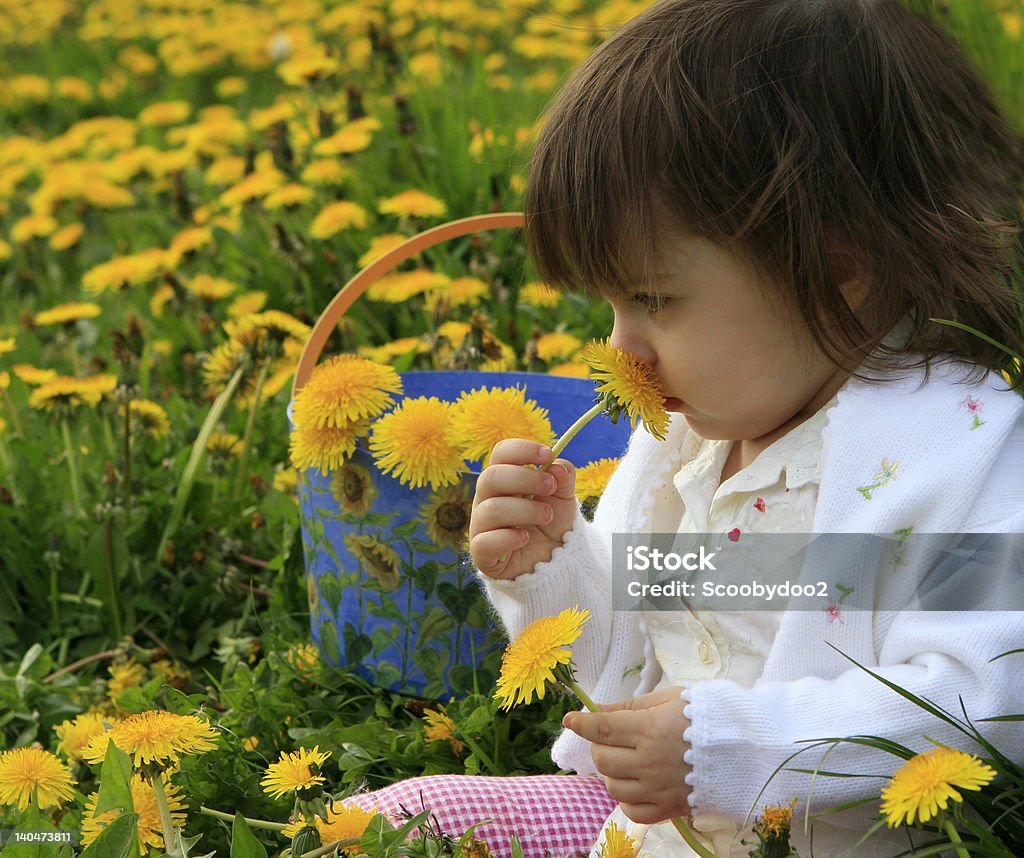 Jovem Criança pequena descobrir a natureza - Royalty-free Alegria Foto de stock