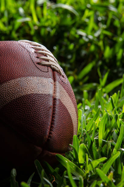 istock Football resting in Grass 1404738855