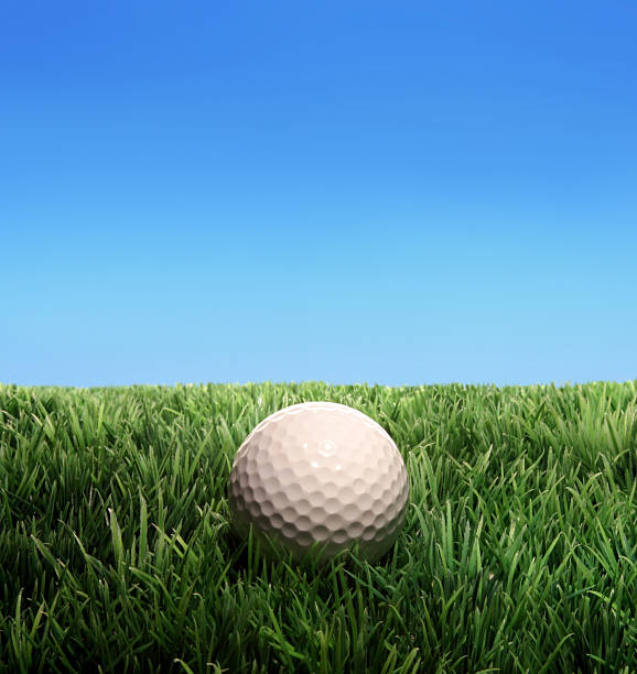 istock Long golf ball lying in the grass underneath the blue sky 140474027