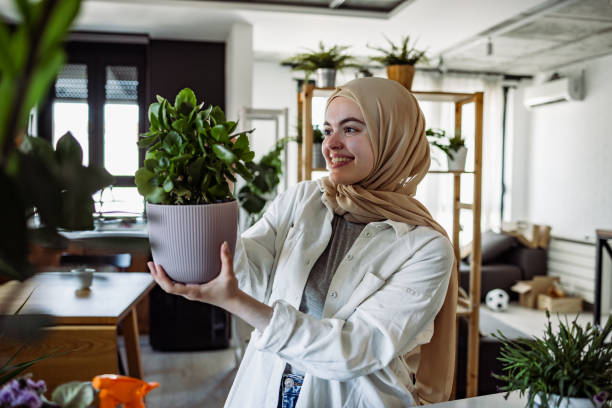 istock Young woman with her home plants 1404742466