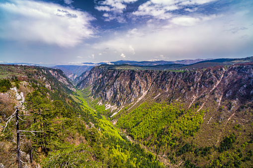 Susica canyon in spring