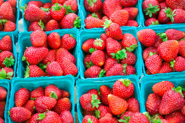 istock Baskets of Fresh Strawberries 1404744227