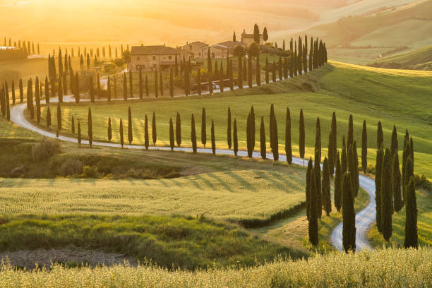 landschaft bei sonnenuntergang in den crete senesi - tuscany stock-fotos und bilder